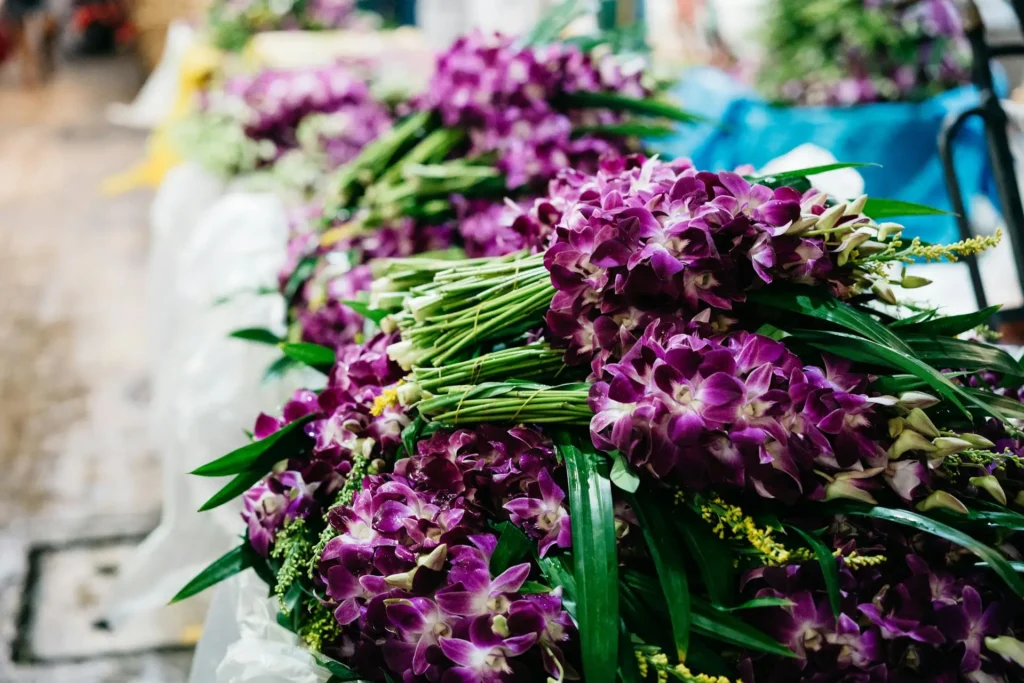 motclef1 localisation3